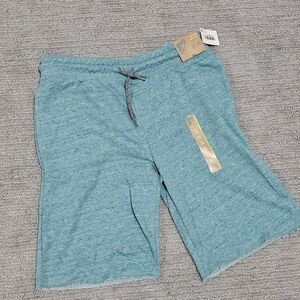 Boys Teal Cotton Shorts